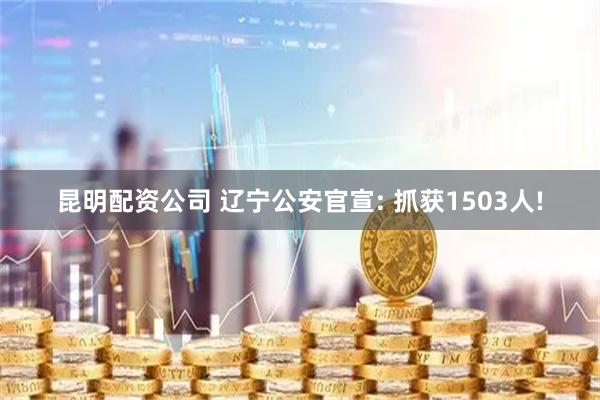 昆明配资公司 辽宁公安官宣: 抓获1503人!