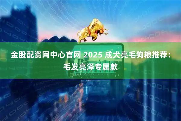 金股配资网中心官网 2025 成犬亮毛狗粮推荐：毛发亮泽专属款