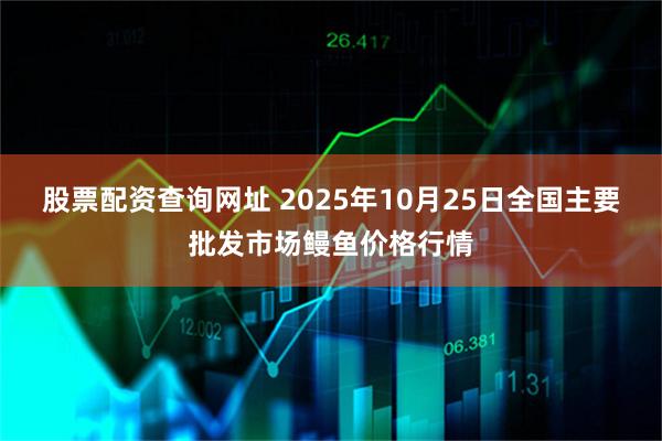 股票配资查询网址 2025年10月25日全国主要批发市场鳗鱼价格行情